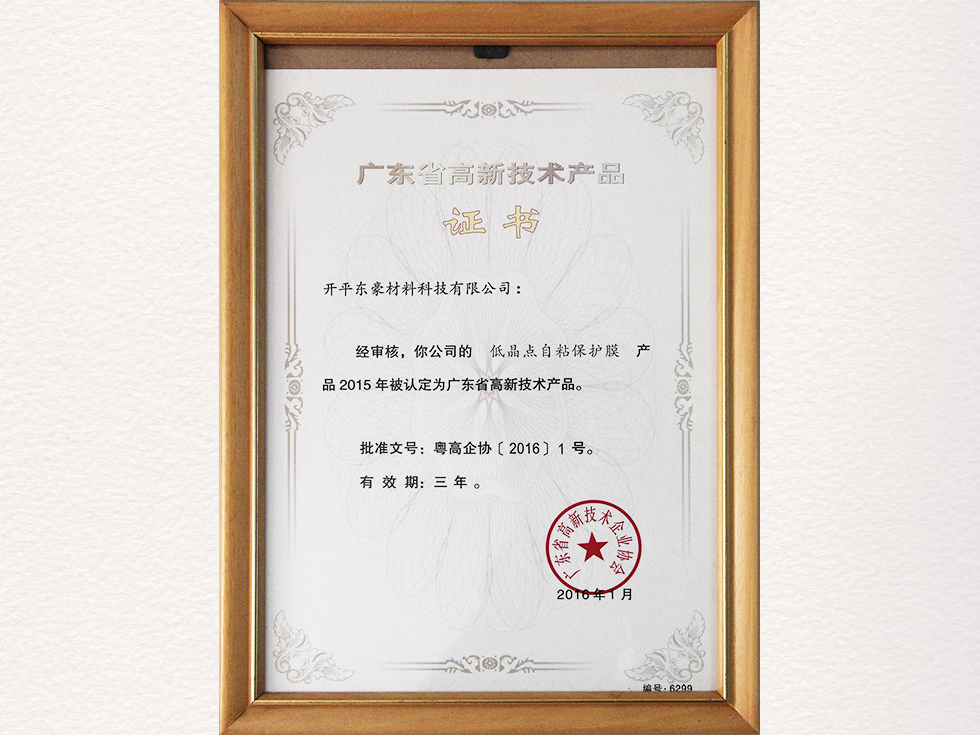 广东省高新技术证书-2
